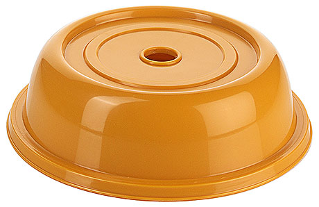 6442/210 Plate Cover, dark yellow