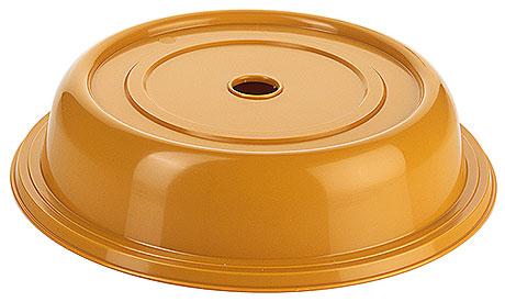 6442/257 Plate Cover, dark yellow