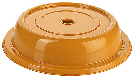 6442/280 Plate Cover, dark yellow