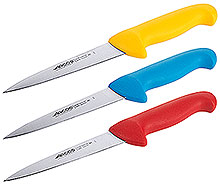 HACCP Filleting Knife 